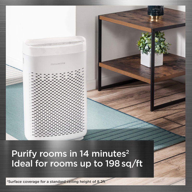 Rowenta Air Purifier with HEPA Filter Wayfair
